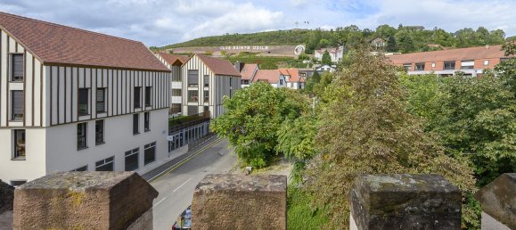 10 bedrooms Hotel in Obernai, France No. 229811 16