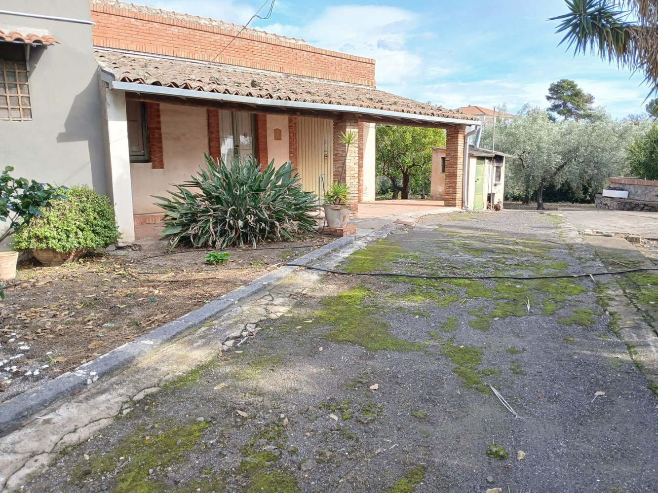 3 rooms House in Misterbianco, Italy No. 48732