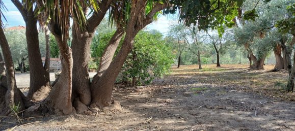 3 rooms House in Misterbianco, Italy No. 48732 16