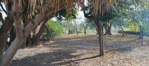 3 rooms House in Misterbianco, Italy No. 48732 15