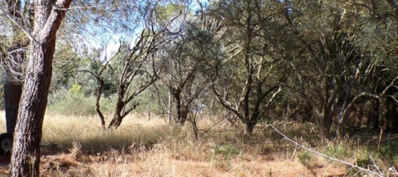 Terreno en Narbonne, France 2234 m² No. 324994 2