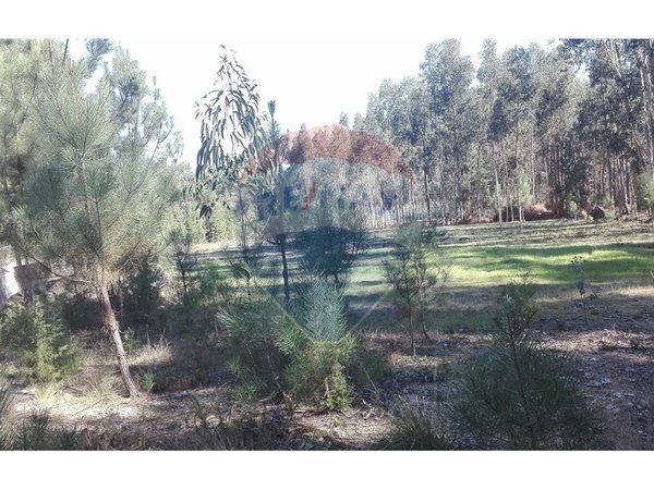  قطعة أرض في Parada, Portugal 5880متر مربع رقم 73019