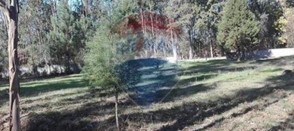  قطعة أرض في Parada, Portugal 5880متر مربع رقم 73019 2