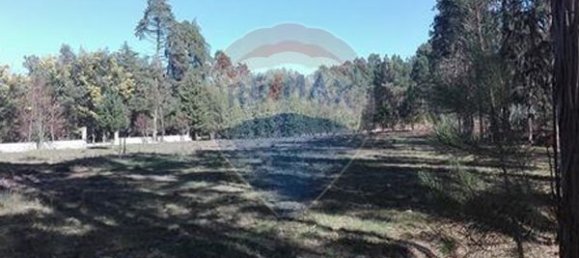  قطعة أرض في Parada, Portugal 5880متر مربع رقم 73019 3