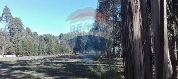  قطعة أرض في Parada, Portugal 5880متر مربع رقم 73019 7