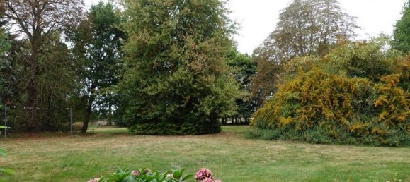 7 rooms House in Diepholz, Germany No. 332585 3