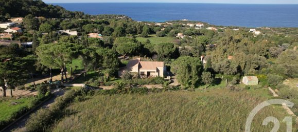 Terrain à Corbara, France No. 270461 2