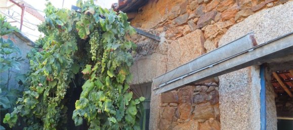 1 غرف نوم منزل في Salgueiro do Campo, Portugal رقم 31049 6