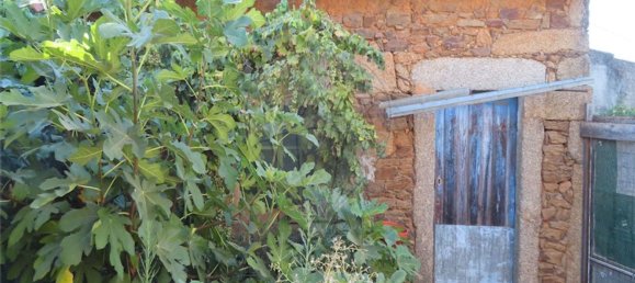 1 غرف نوم منزل في Salgueiro do Campo, Portugal رقم 31049 8