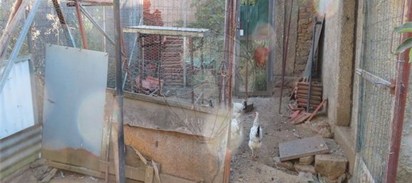 1 غرف نوم منزل في Salgueiro do Campo, Portugal رقم 31049 5