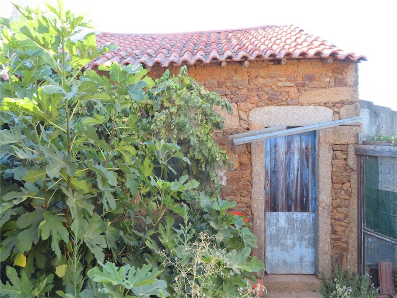 1 غرف نوم منزل في Salgueiro do Campo, Portugal رقم 31049