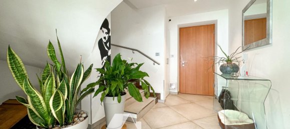 3 rooms Apartment in Roveré della Luna, Italy No. 234463 9