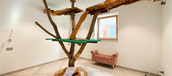 3 rooms Apartment in Roveré della Luna, Italy No. 234463 11