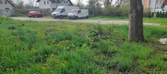  Land in Marchtrenk, Austria No. 212791 4