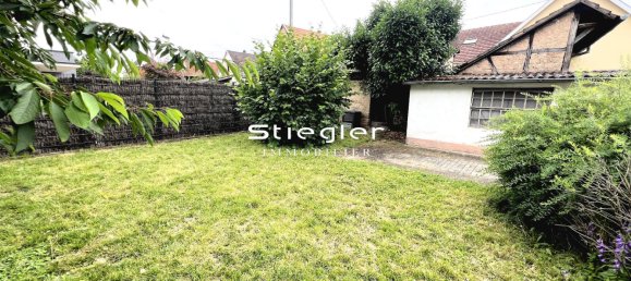 9 rooms House in Illkirch-Graffenstaden, France No. 273871 4