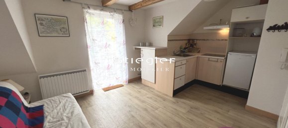 9 rooms House in Illkirch-Graffenstaden, France No. 273871 22