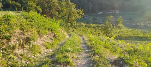 2غرفة منزل في Concesio, Italy رقم 44587 25