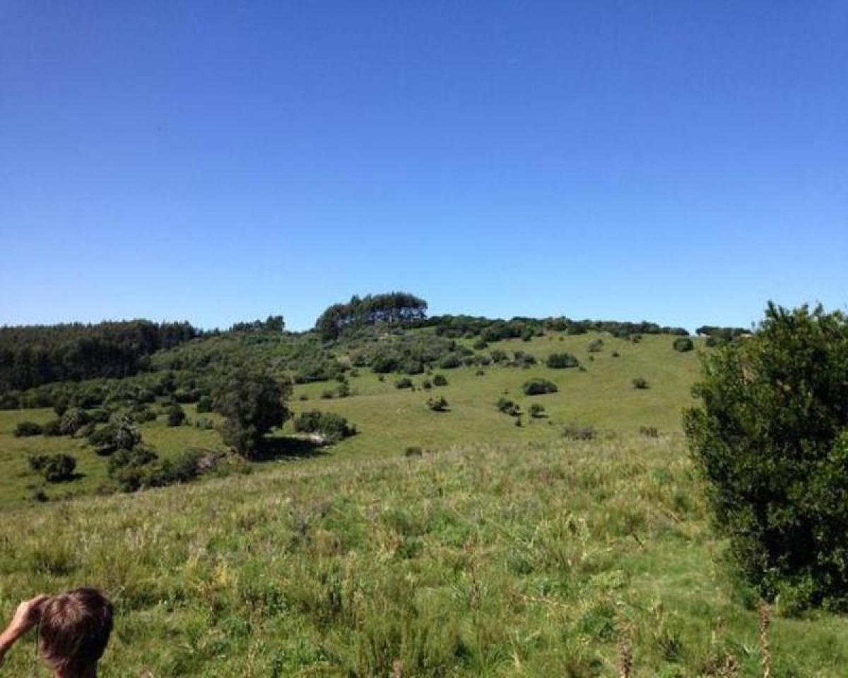  Farm in Maldonado, Uruguay No. 15428