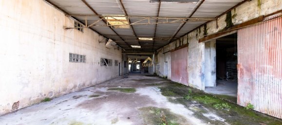 3137m² Commercial property in Aljubarrota, Portugal No. 194362 17