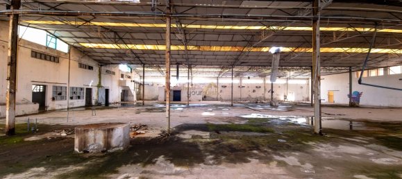 3137m² Commercial property in Aljubarrota, Portugal No. 194362 18