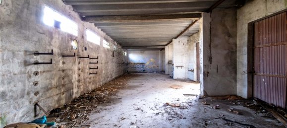 3137m² Commercial property in Aljubarrota, Portugal No. 194362 16