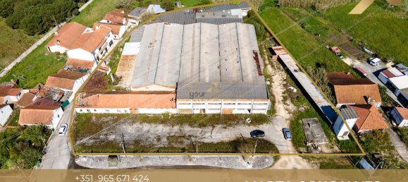 3137m² Commercial property in Aljubarrota, Portugal No. 194362 3