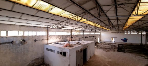 3137m² Commercial property in Aljubarrota, Portugal No. 194362 25