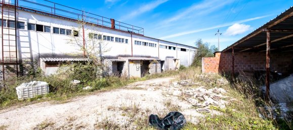 3137m² Commercial property in Aljubarrota, Portugal No. 194362 34