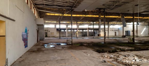 3137m² Commercial property in Aljubarrota, Portugal No. 194362 6