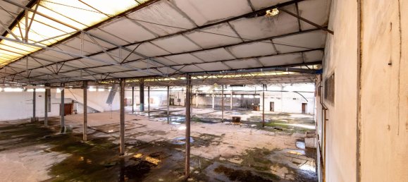 3137m² Commercial property in Aljubarrota, Portugal No. 194362 24