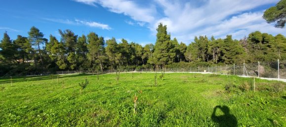 3 غرف نوم عقار تجاري في Chalkidiki, Greece رقم 65376 18