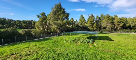 3 غرف نوم عقار تجاري في Chalkidiki, Greece رقم 65376 26