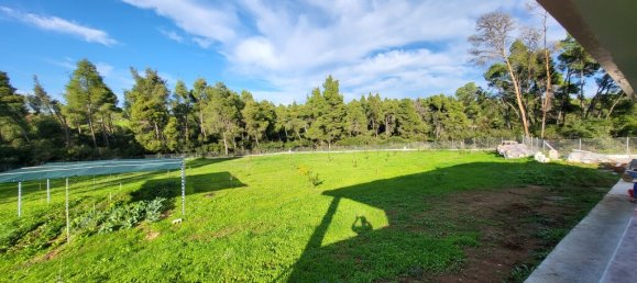 3 غرف نوم عقار تجاري في Chalkidiki, Greece رقم 65376 27