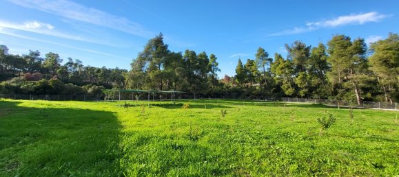 3 غرف نوم عقار تجاري في Chalkidiki, Greece رقم 65376 17