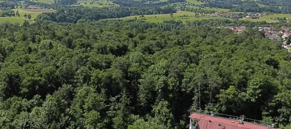 1 غرف نوم شقة في Kematen an der Ybbs, Austria رقم 179837 28