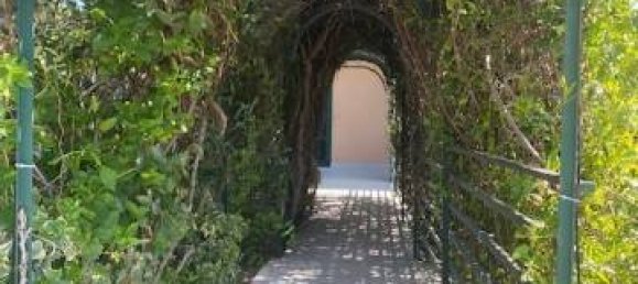 4 chambres Villa à Rome, Italy No. 356881 2