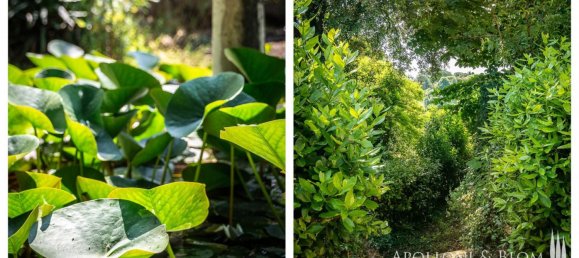 Villa de 8 dormitorios en Cetona, Italy No. 54535 33