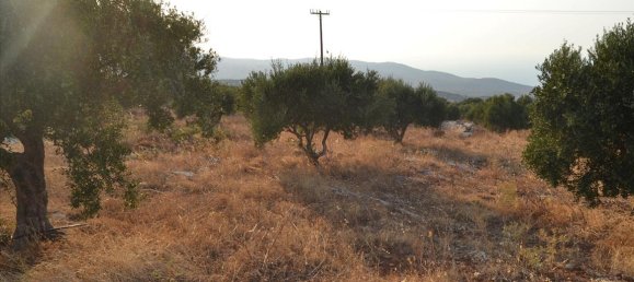 3000m² Hotel in Agios Nikolaos, Greece No. 6117 5