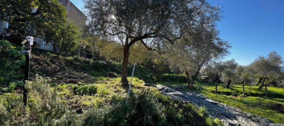 Коммерческая недвижимость 80м² в Специя, Италия № 123611 5