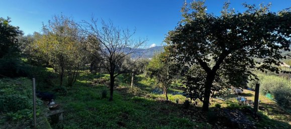 Коммерческая недвижимость 80м² в Специя, Италия № 123611 7