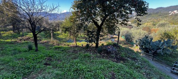 Коммерческая недвижимость 80м² в Специя, Италия № 123611 11