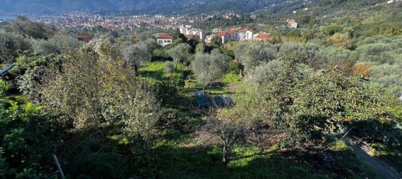 Коммерческая недвижимость 80м² в Специя, Италия № 123611 2