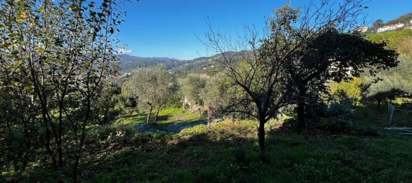 Коммерческая недвижимость 80м² в Специя, Италия № 123611 9