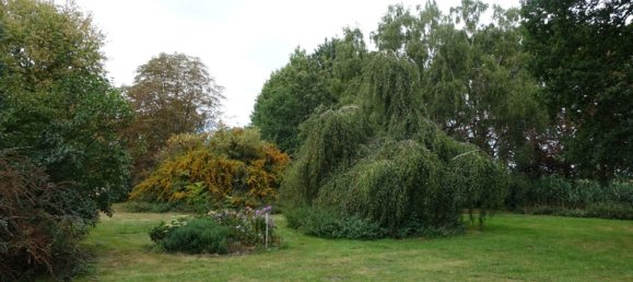 7 rooms House in Diepholz, Germany No. 326614 11