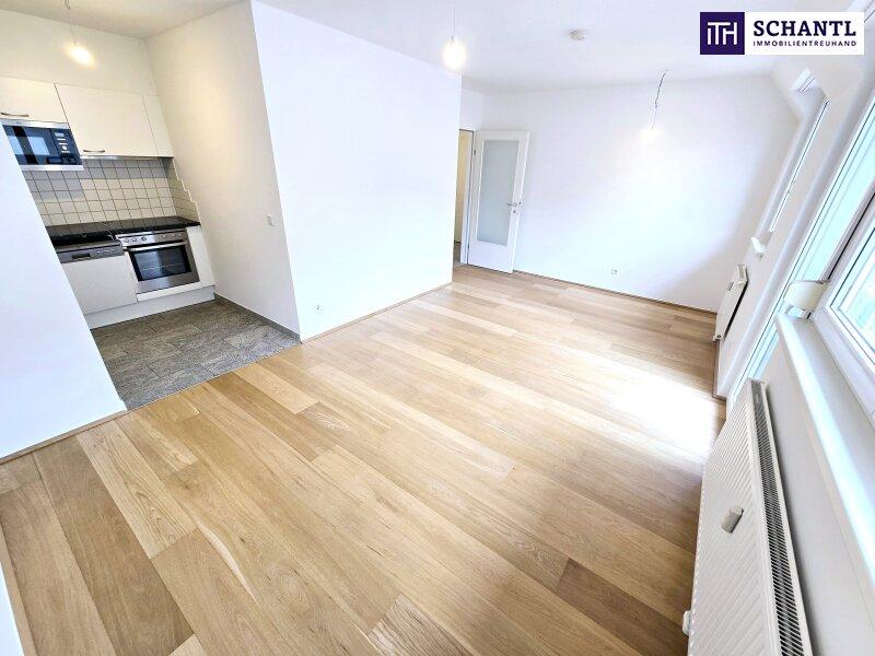 2 rooms Apartment in Ottakring, Austria No. 249112