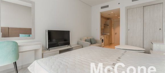 Studio in Palm Jumeirah, UAE No. 31503 6