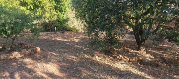 1160m² Land in Andalusia, Spain No. 153499 11