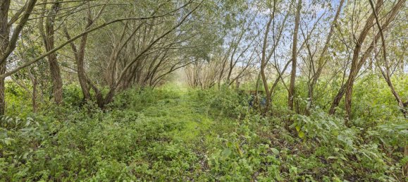 6 rooms Farm in Havelland, Germany No. 20945 24