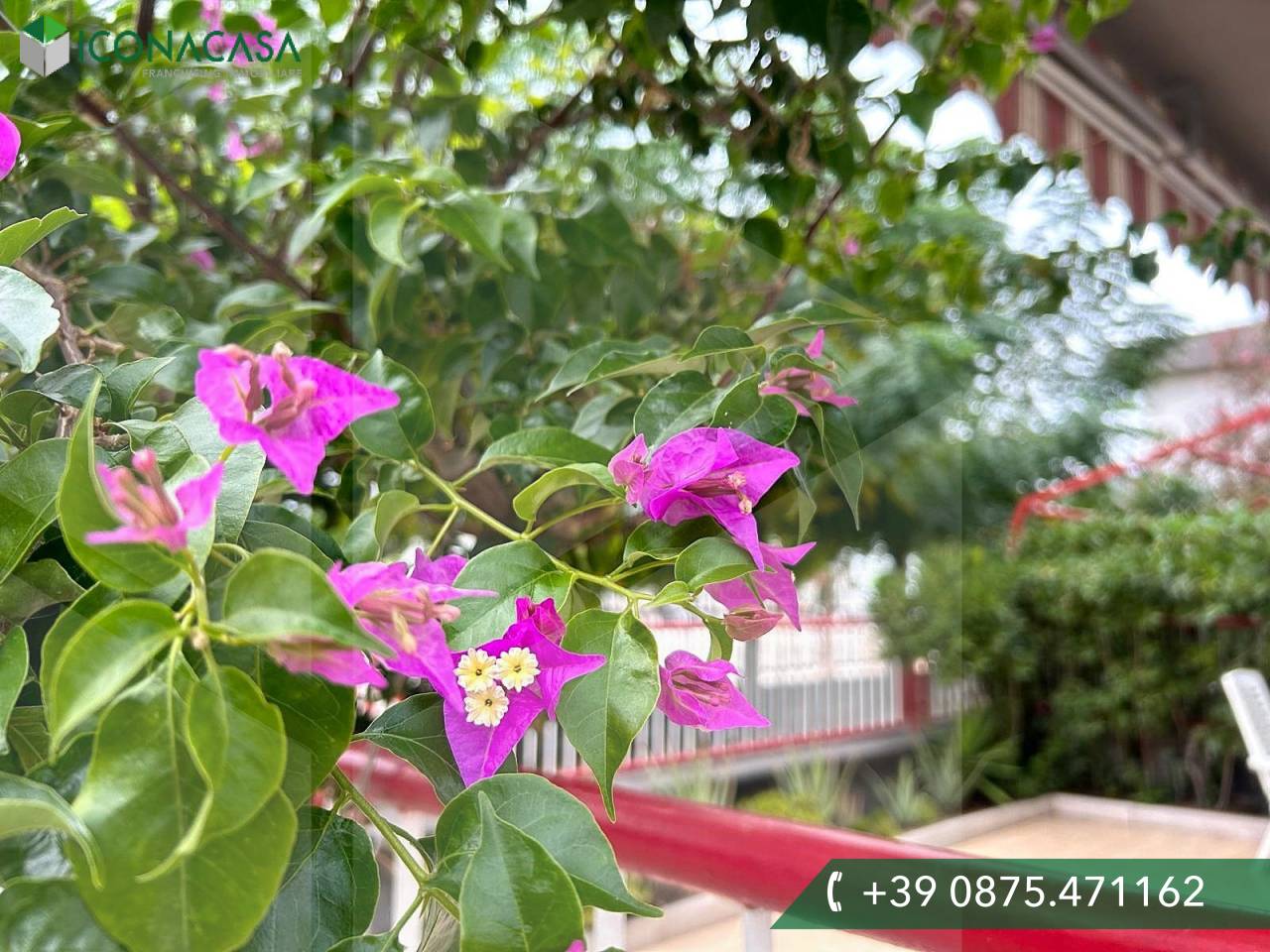 3غرفة منزل ذو طابقين في Campomarino, Italy رقم 26140