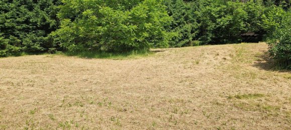  Land in Hitzendorf, Austria No. 142143 3